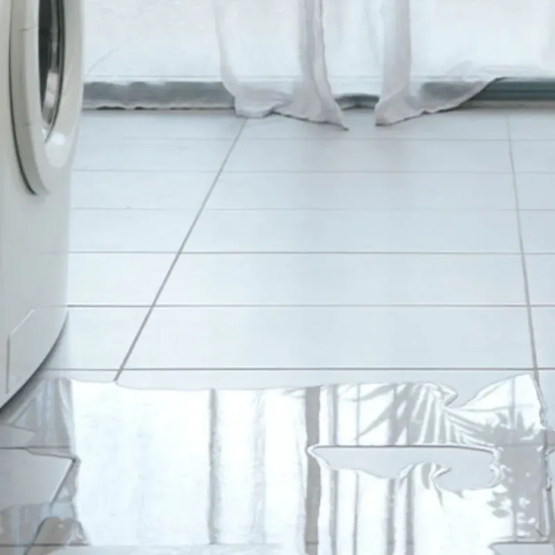Appliance Leak Cleanup in Fussels Corner, FL