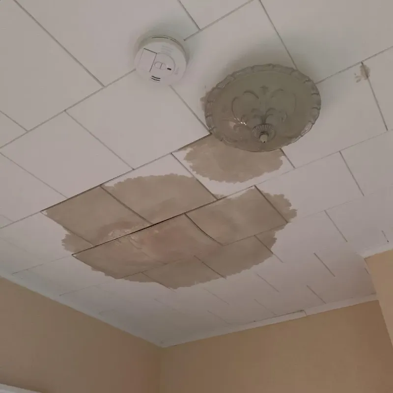 Ceiling Water Damage Repair in Fussels Corner, FL