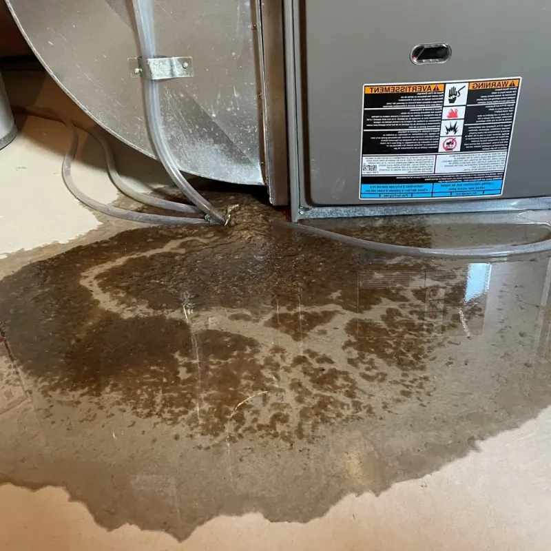 Pipe Burst and Leak Restoration in Fussels Corner, FL