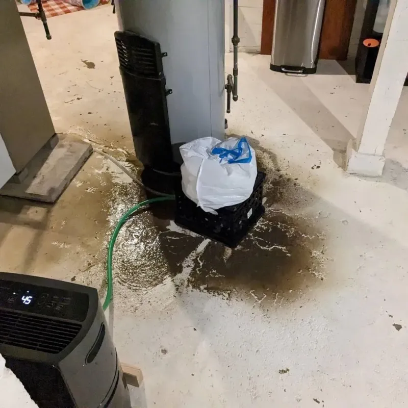 Sewage Backup Cleanup Service in Fussels Corner, FL
